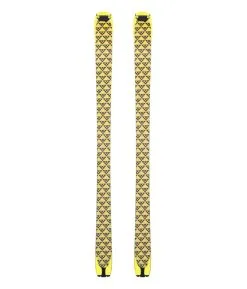 Black Crows Orb Freebird Skin