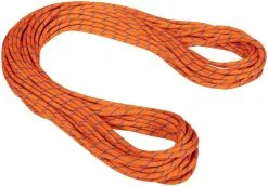 Mammut 9.0 Alpine Sender Dry Rope 60m [2019]